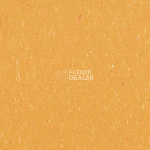 Линолеум Forbo Marmoleum Solid Piano 3622-362235 mellow yellow фото 1 | FLOORDEALER